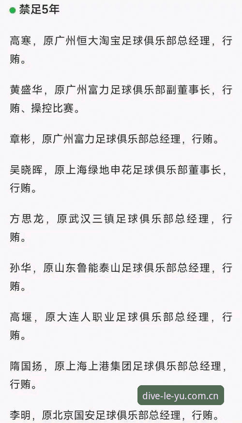 足协第三批禁足名单完整解读指南：从事件看中国足球的净化之路