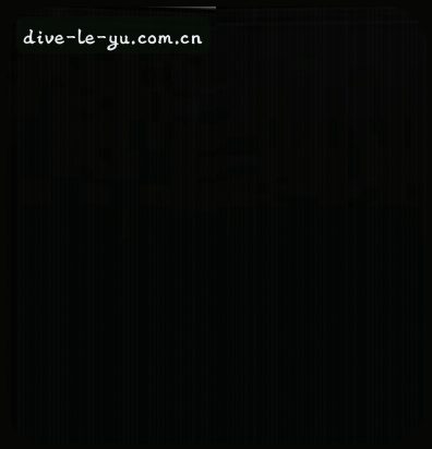 王磊